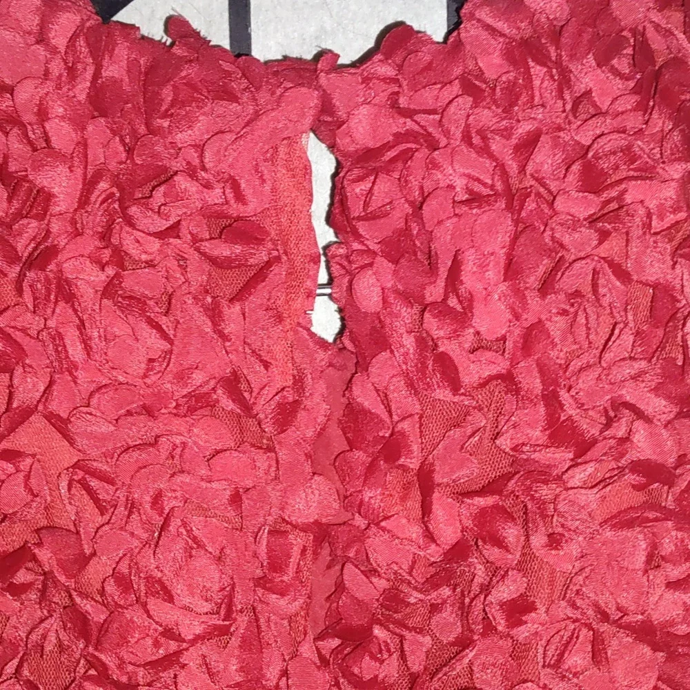 J.Crew Factory Red Flower Petal Textured Dress - Picture 4 of 4